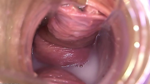 inside vagina